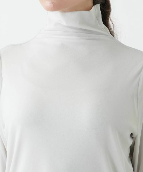 Leilian PLUS HOUSE / レリアンプラスハウス カットソー | ハイネックカットソー | 詳細13