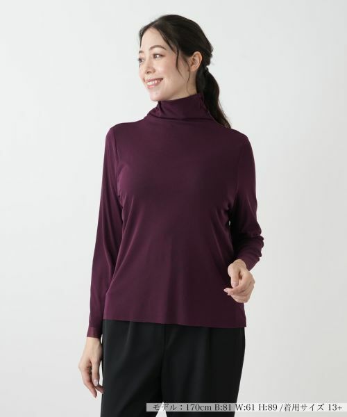 Leilian PLUS HOUSE/レリアンプラスハウス ハイネックカットソー ボルドー系 17+ Leilian PLUS HOUSE/レリアンプラスハウス ハイネックカットソー ボルドー系 17+