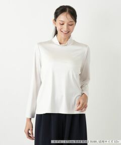 Leilian PLUS HOUSE / レリアンプラスハウス カットソー | ハイネックカットソー