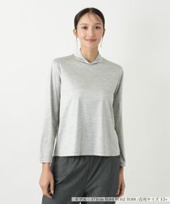 Leilian PLUS HOUSE / レリアンプラスハウス カットソー | ハイネックカットソー