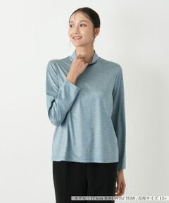 Leilian PLUS HOUSE / レリアンプラスハウス カットソー | ハイネックカットソー