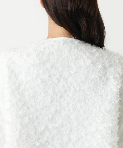 Leilian PLUS HOUSE / レリアンプラスハウス テーラードジャケット | フェザーライクジャケット【NEMIKA】 | 詳細14