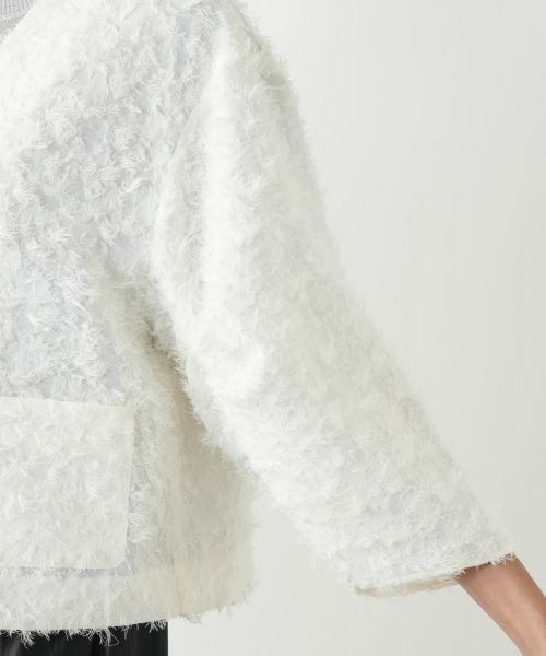 Leilian PLUS HOUSE / レリアンプラスハウス テーラードジャケット | フェザーライクジャケット【NEMIKA】 | 詳細15