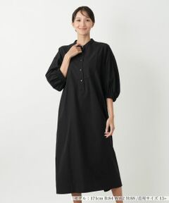 Leilian PLUS HOUSE / レリアンプラスハウス ドレス | スタンドカラーワンピース【プラス企画】