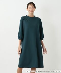 Leilian PLUS HOUSE / レリアンプラスハウス ドレス | 【店舗人気】無地ワンピース【Leilian WHITE LABEL】