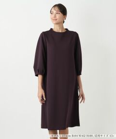 Leilian PLUS HOUSE / レリアンプラスハウス ドレス | 【店舗人気】無地ワンピース【Leilian WHITE LABEL】