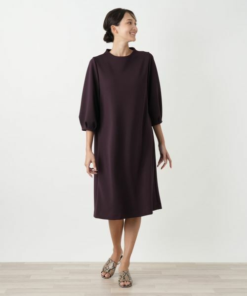 Leilian PLUS HOUSE / レリアンプラスハウス ドレス | 【店舗人気】無地ワンピース【Leilian WHITE LABEL】 | 詳細1