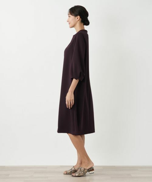 Leilian PLUS HOUSE / レリアンプラスハウス ドレス | 【店舗人気】無地ワンピース【Leilian WHITE LABEL】 | 詳細2