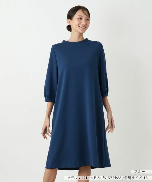 Leilian PLUS HOUSE/レリアンプラスハウス 【店舗人気】無地ワンピース【Leilian WHITE LABEL】 ネイビー系 13+