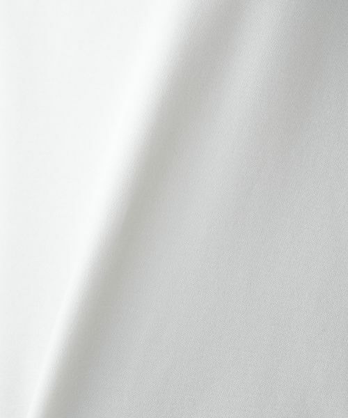 Leilian PLUS HOUSE / レリアンプラスハウス カットソー | ショートスリーブカットソー【NEMIKA】 | 詳細14