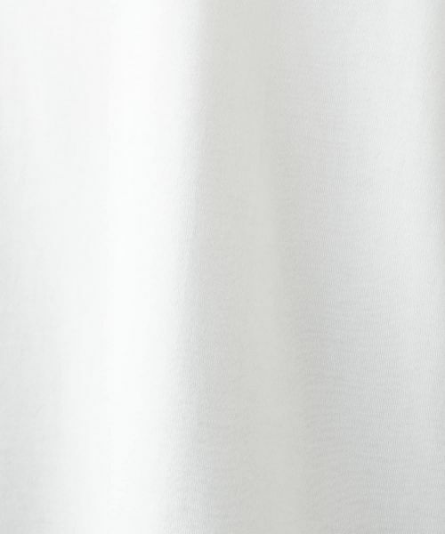 Leilian PLUS HOUSE / レリアンプラスハウス Tシャツ | 【ウォッシャブル】半袖カットソー【NEMIKA】 | 詳細12