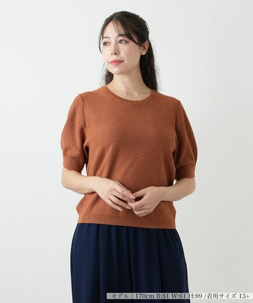 Leilian PLUS HOUSE/レリアンプラスハウス スパンコールクルーネックニット【BOURGE】 ブラウン 13+ Leilian PLUS HOUSE/レリアンプラスハウス スパンコールクルーネックニット【BOURGE】 ブラウン 13+