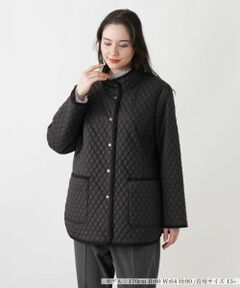 Leilian PLUS HOUSE / レリアンプラスハウス テーラードジャケット | ジャケット