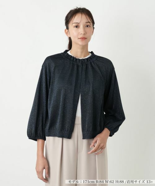 Leilian PLUS HOUSE/レリアンプラスハウス カーディガン【BOURGE】 ネイビー系 13+ Leilian PLUS HOUSE/レリアンプラスハウス カーディガン【BOURGE】 ネイビー系 13+