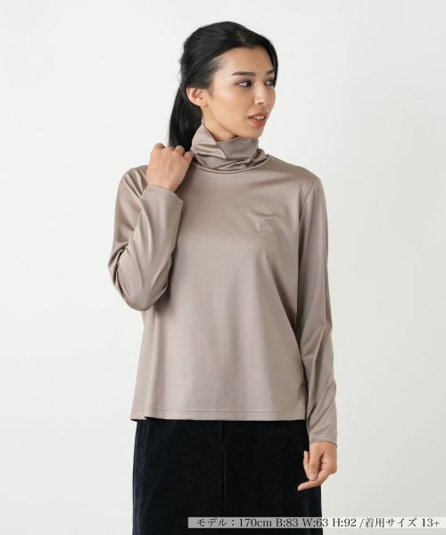 Leilian PLUS HOUSE/レリアンプラスハウス カットソー ブラウン 13+ Leilian PLUS HOUSE/レリアンプラスハウス カットソー ブラウン 13+