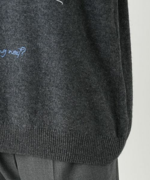 Leilian PLUS HOUSE / レリアンプラスハウス ニット・セーター | セーター | 詳細14