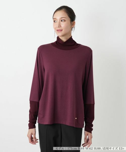 Leilian PLUS HOUSE/レリアンプラスハウス カットソー ボルドー系 13+ Leilian PLUS HOUSE/レリアンプラスハウス カットソー ボルドー系 13+