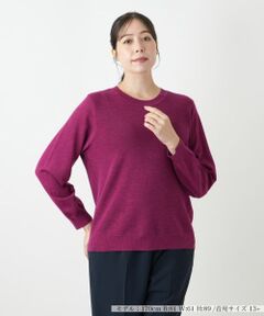 Leilian PLUS HOUSE / レリアンプラスハウス ニット・セーター | セーター