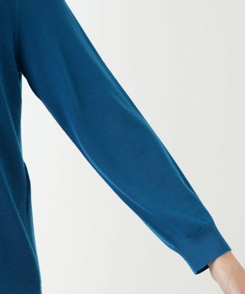 Leilian PLUS HOUSE / レリアンプラスハウス ニット・セーター | セーター | 詳細15