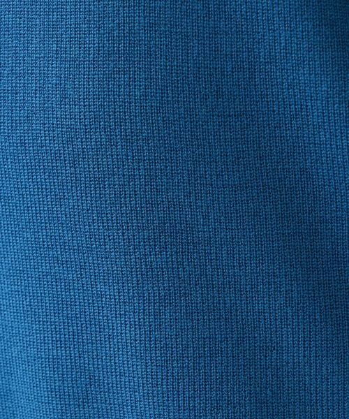 Leilian PLUS HOUSE / レリアンプラスハウス ニット・セーター | セーター | 詳細17