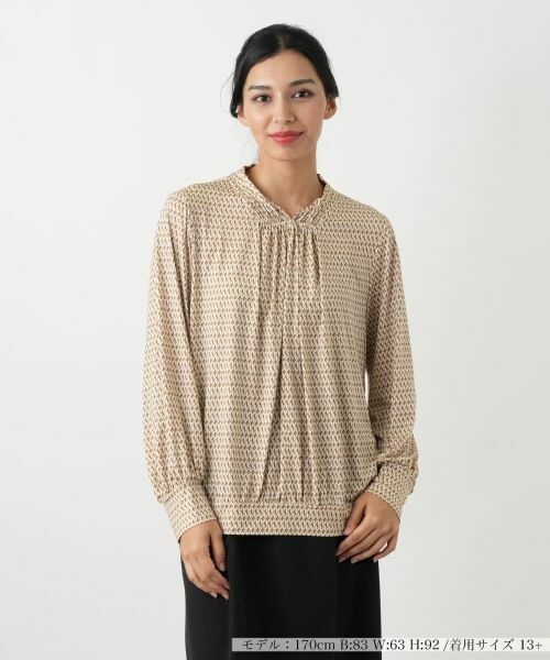 Leilian PLUS HOUSE/レリアンプラスハウス カットソー キャメル系 13+ Leilian PLUS HOUSE/レリアンプラスハウス カットソー キャメル系 13+