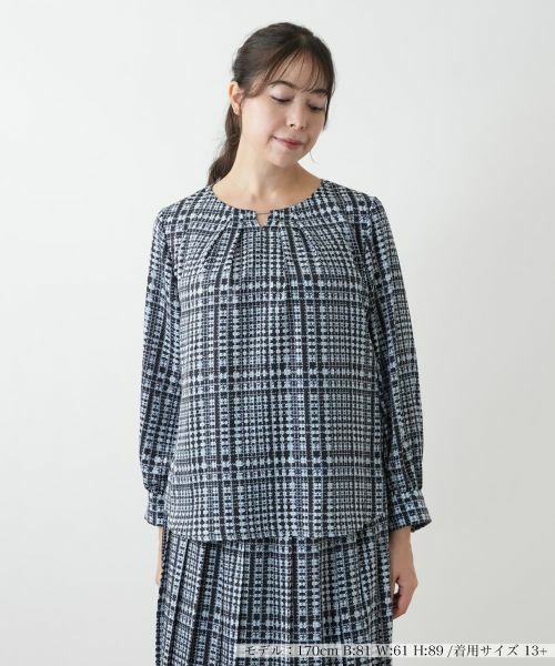 Leilian PLUS HOUSE/レリアンプラスハウス ブラウス【Leilian WHITE LABEL】 スカイブルー 17+ Leilian PLUS HOUSE/レリアンプラスハウス ブラウス【Leilian WHITE LABEL】 スカイブルー 17+