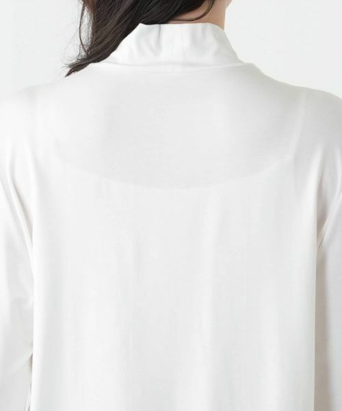 Leilian PLUS HOUSE / レリアンプラスハウス カットソー | カットソー【ROCHAS Premiere】 | 詳細17