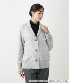 Leilian PLUS HOUSE / レリアンプラスハウス テーラードジャケット | ジャケット【ROSSO35】