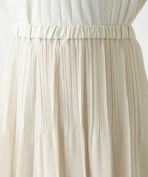 Leilian PLUS HOUSE / レリアンプラスハウス ロング・マキシ丈スカート | プリーツスカート | 詳細22