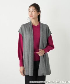 Leilian PLUS HOUSE / レリアンプラスハウス テーラードジャケット | ベスト【プラス企画】