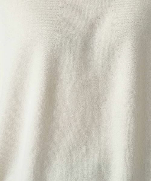 Leilian PLUS HOUSE / レリアンプラスハウス ニット・セーター | セーター | 詳細14