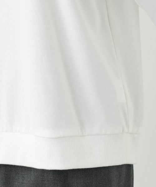 Leilian PLUS HOUSE / レリアンプラスハウス カットソー | カットソー【Leilian WHITE LABEL】 | 詳細13