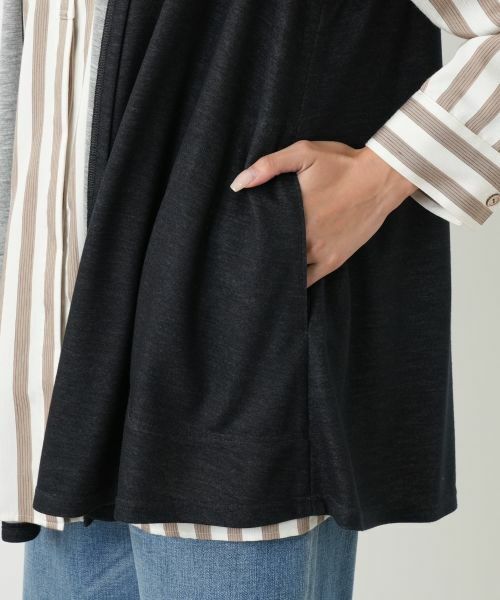 Leilian PLUS HOUSE / レリアンプラスハウス テーラードジャケット | ベスト【Leilian WHITE LABEL】 | 詳細13