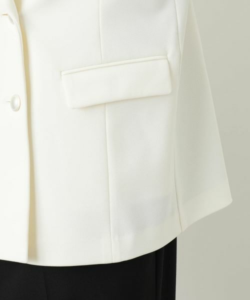Leilian PLUS HOUSE / レリアンプラスハウス テーラードジャケット | ブレザー【NEMIKA】 | 詳細21