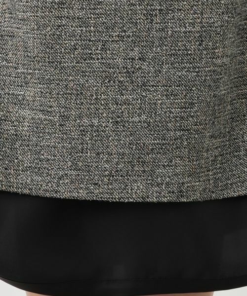 Leilian PLUS HOUSE / レリアンプラスハウス ミニ・ひざ丈スカート | タイトスカート【ROCHAS Premiere】 | 詳細14