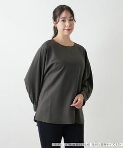 Leilian PLUS HOUSE / レリアンプラスハウス シャツ・ブラウス | ブラウス【プラス企画】