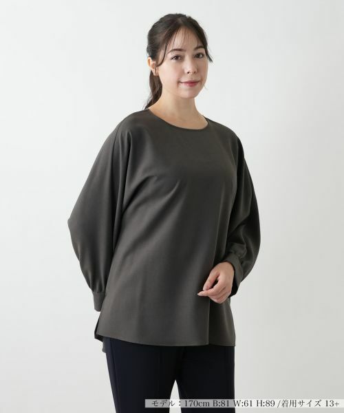 Leilian PLUS HOUSE/レリアンプラスハウス ブラウス【プラス企画】 ブラウン系 その他 Leilian PLUS HOUSE/レリアンプラスハウス ブラウス【プラス企画】 ブラウン系 その他