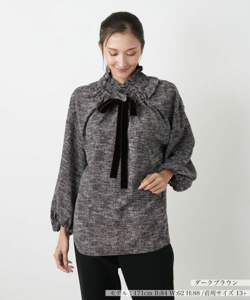 Leilian PLUS HOUSE/レリアンプラスハウス ブラウス【NEMIKA】 ダークブラウン 13+ Leilian PLUS HOUSE/レリアンプラスハウス ブラウス【NEMIKA】 ダークブラウン 13+