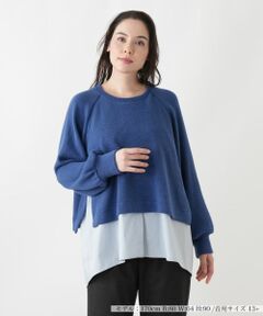 Leilian PLUS HOUSE / レリアンプラスハウス ニット・セーター | セーター【FRANCO FERRARO for Leilian】