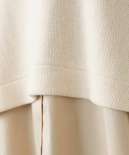 Leilian PLUS HOUSE / レリアンプラスハウス ニット・セーター | セーター【FRANCO FERRARO for Leilian】 | 詳細15