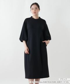 Leilian PLUS HOUSE / レリアンプラスハウス ドレス | ワンピース