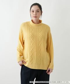 Leilian PLUS HOUSE / レリアンプラスハウス ニット・セーター | セーター