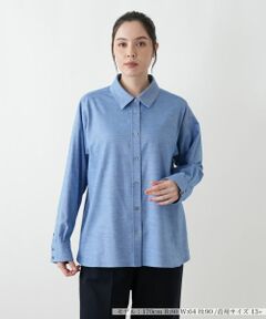 Leilian PLUS HOUSE / レリアンプラスハウス シャツ・ブラウス | レギュラーカラーブラウス