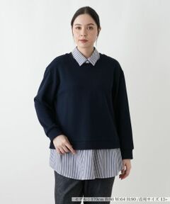 Leilian PLUS HOUSE / レリアンプラスハウス ニット・セーター | セーター【プラス企画】