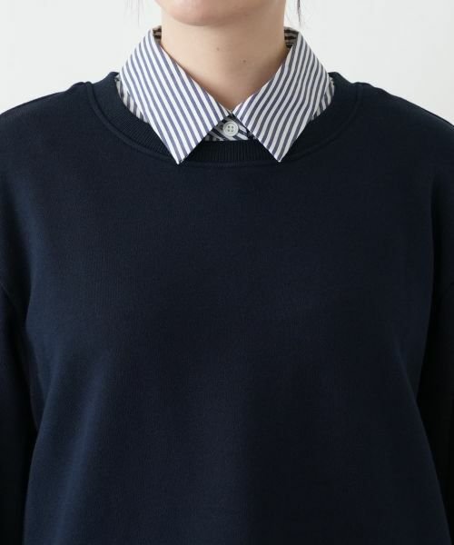 Leilian PLUS HOUSE / レリアンプラスハウス ニット・セーター | セーター【プラス企画】 | 詳細9