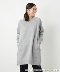 Leilian PLUS HOUSE / レリアンプラスハウス ニット・セーター | プルオーバー【プラス企画】