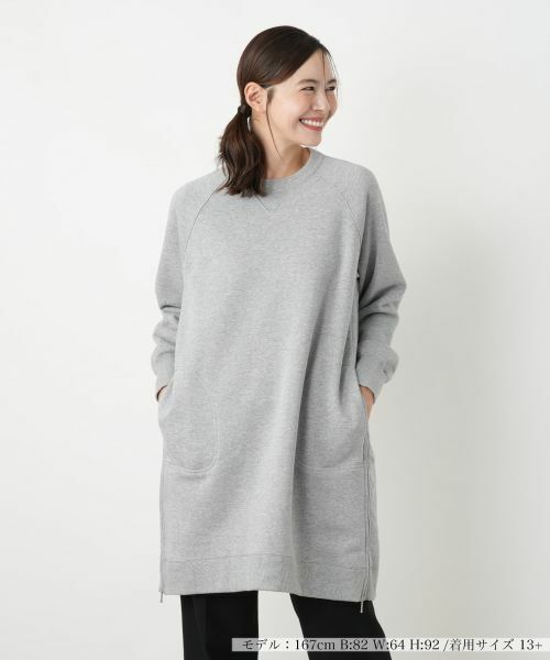 Leilian PLUS HOUSE/レリアンプラスハウス プルオーバー【プラス企画】 ライトグレー 17+