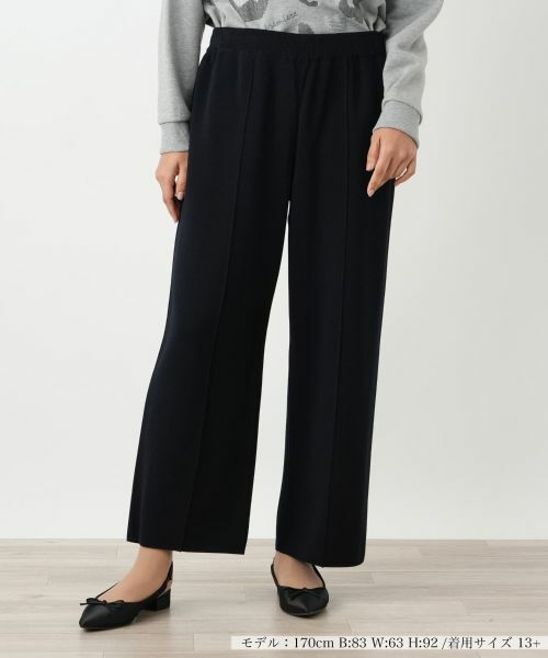 Leilian PLUS HOUSE/レリアンプラスハウス パンツ ネイビー 17+