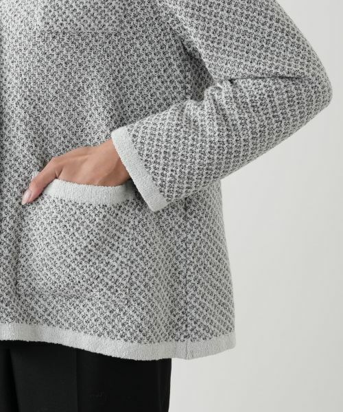 Leilian PLUS HOUSE / レリアンプラスハウス テーラードジャケット | ジャケット | 詳細12