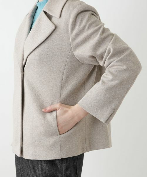 Leilian PLUS HOUSE / レリアンプラスハウス テーラードジャケット | ジャケット | 詳細10